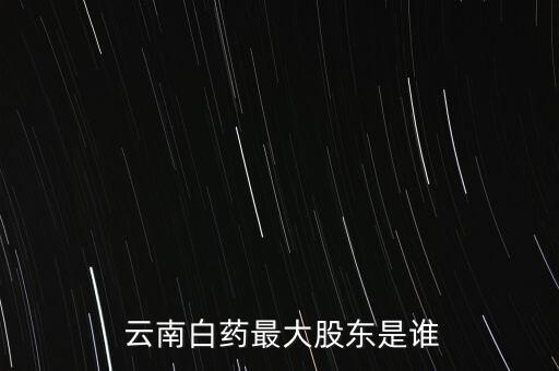  云南白藥最大股東是誰(shuí)