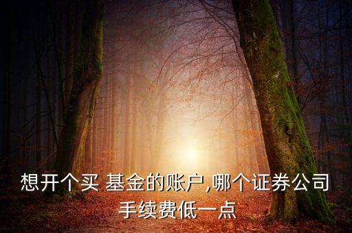 哪里買基金手續(xù)費(fèi)低,股票和基金哪個(gè)手續(xù)費(fèi)低