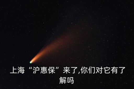  上?！皽荼！眮砹?你們對它有了解嗎