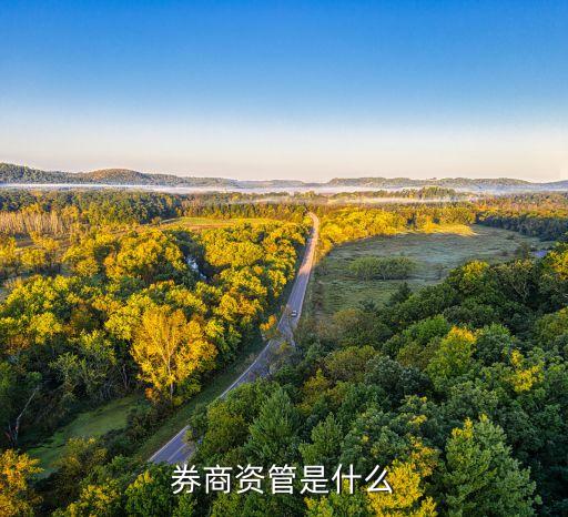 證券公司從事資產(chǎn)管理業(yè)務