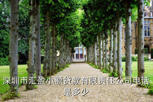 深圳市匯盈小額貸款有限責(zé)任公司電話是多少