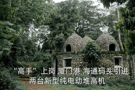 “高手”上崗 廈門港 海通碼頭引進(jìn)兩臺新型純電動堆高機(jī)