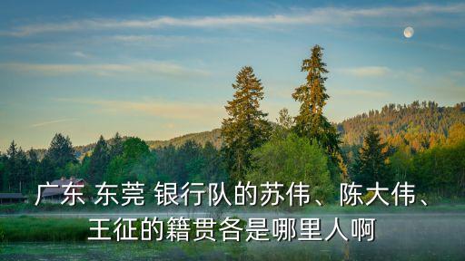 廣東 東莞 銀行隊的蘇偉、陳大偉、王征的籍貫各是哪里人啊