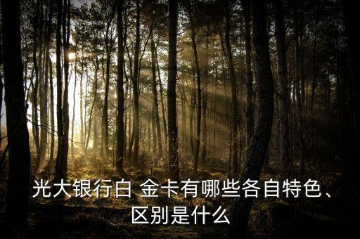  光大銀行白 金卡有哪些各自特色、區(qū)別是什么