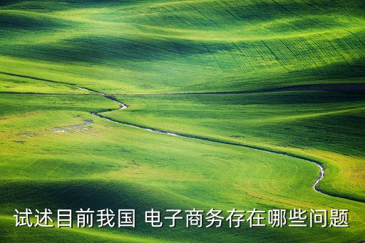 試述目前我國(guó) 電子商務(wù)存在哪些問題