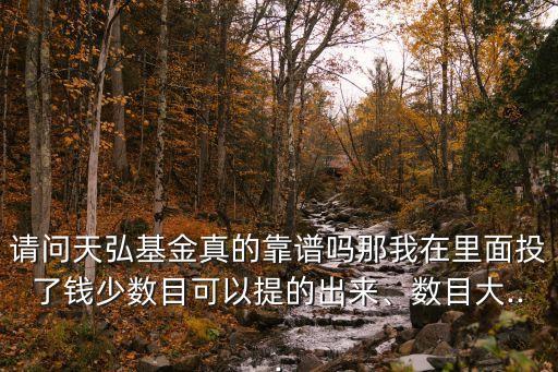 請(qǐng)問天弘基金真的靠譜嗎那我在里面投了錢少數(shù)目可以提的出來(lái)、數(shù)目大...