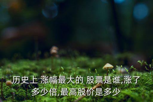 歷史上 漲幅最大的 股票是誰,漲了多少倍,最高股價是多少