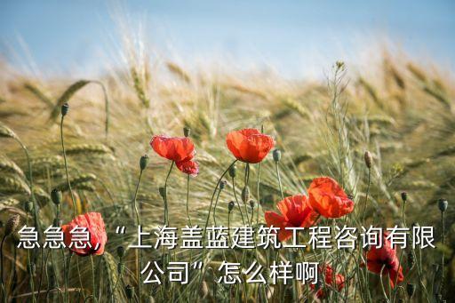 急急急,“上海蓋藍(lán)建筑工程咨詢有限 公司”怎么樣啊