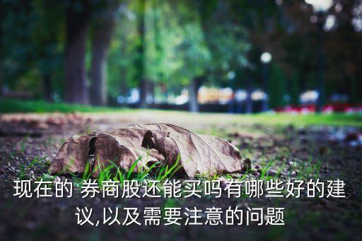 現(xiàn)在的 券商股還能買嗎有哪些好的建議,以及需要注意的問(wèn)題