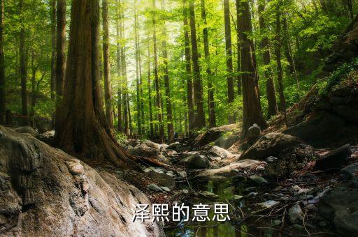 澤熙基金持有股票,朱雀基金持有的股票最新明細