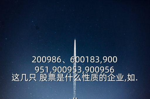 200986、600183,900951,900953,900956這幾只 股票是什么性質(zhì)的企業(yè),如...