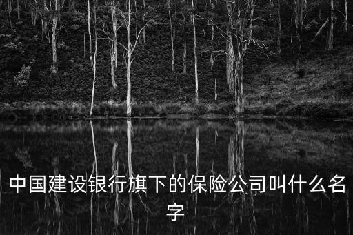 中國建設(shè)銀行旗下的保險(xiǎn)公司叫什么名字