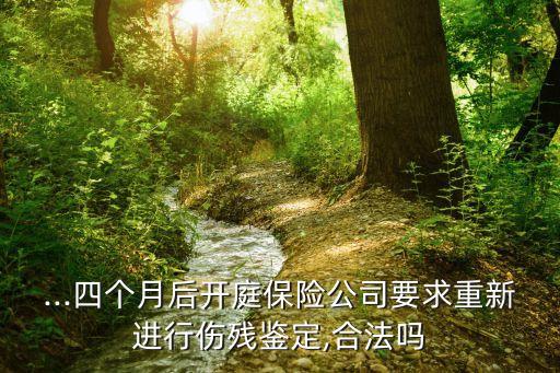 ...四個月后開庭保險(xiǎn)公司要求重新進(jìn)行傷殘鑒定,合法嗎