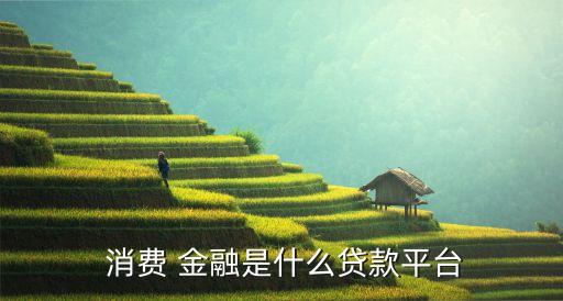 北銀消費金融公司內(nèi)部架構,北京北銀消費金融公司