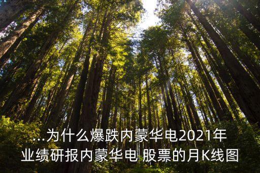 ...為什么爆跌內(nèi)蒙華電2021年業(yè)績研報(bào)內(nèi)蒙華電 股票的月K線圖