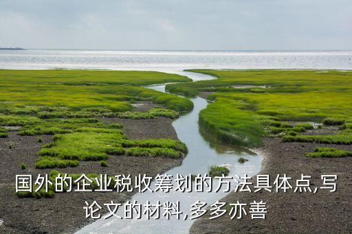 國外的企業(yè)稅收籌劃的方法具體點(diǎn),寫論文的材料,多多亦善