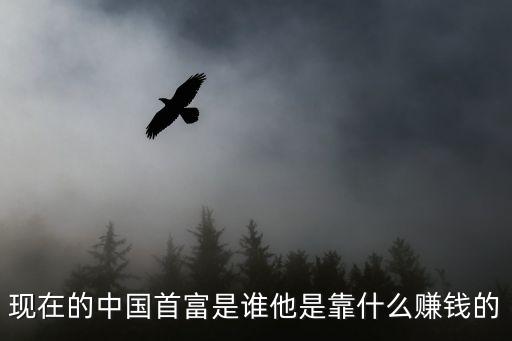 現(xiàn)在的中國(guó)首富是誰他是靠什么賺錢的