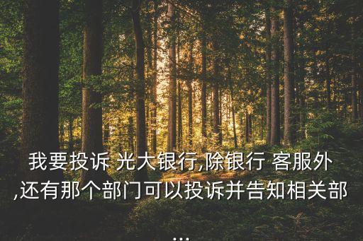 中國(guó)光大銀行客服電話收費(fèi)嗎,光大銀行客服電話95595