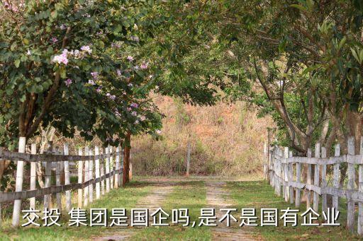 交投 集團(tuán)是國企嗎,是不是國有企業(yè)