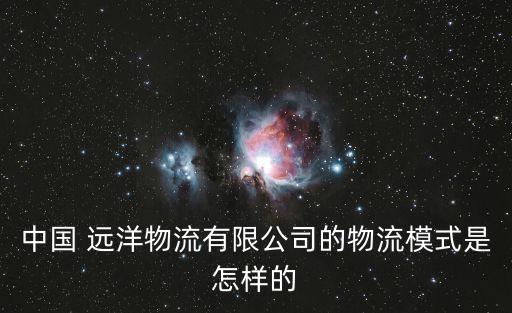 中國 遠洋物流有限公司的物流模式是怎樣的