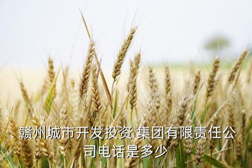  贛州城市開發(fā)投資 集團有限責(zé)任公司電話是多少