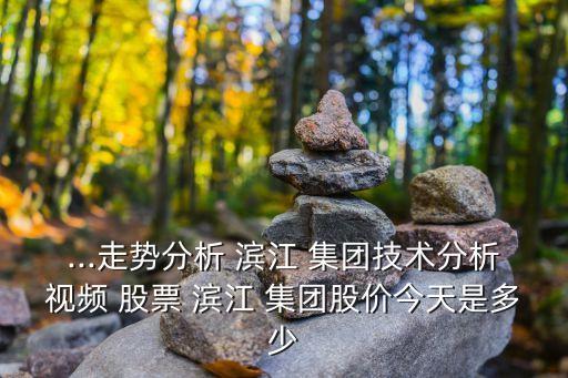 ...走勢分析 濱江 集團(tuán)技術(shù)分析視頻 股票 濱江 集團(tuán)股價今天是多少