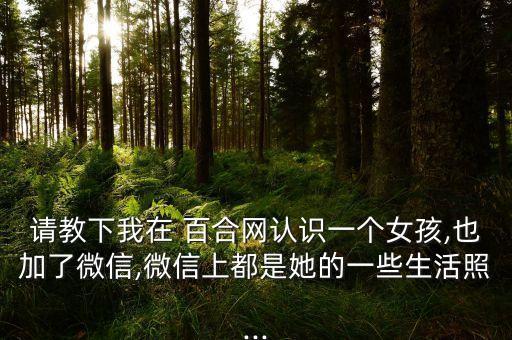 請(qǐng)教下我在 百合網(wǎng)認(rèn)識(shí)一個(gè)女孩,也加了微信,微信上都是她的一些生活照...