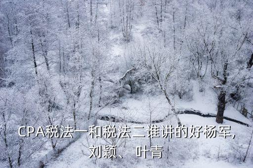 CPA稅法一和稅法二誰講的好楊軍,劉穎、 葉青