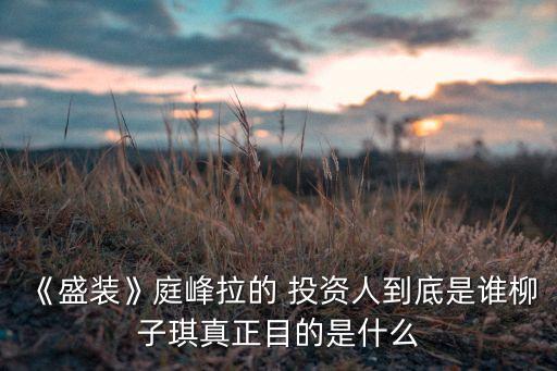 《盛裝》庭峰拉的 投資人到底是誰柳子琪真正目的是什么