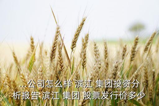 濱江集團(tuán)股票歷史最高價格,海亮集團(tuán)股票歷史最高