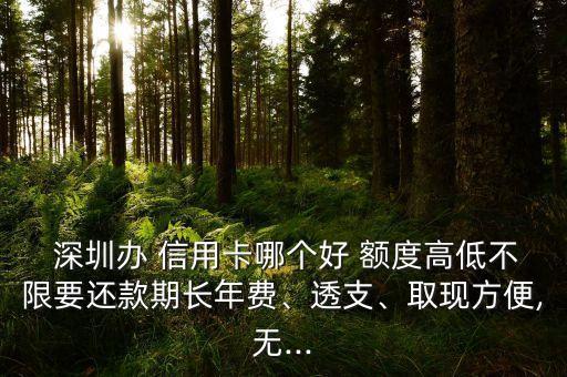  深圳辦 信用卡哪個(gè)好 額度高低不限要還款期長年費(fèi)、透支、取現(xiàn)方便,無...