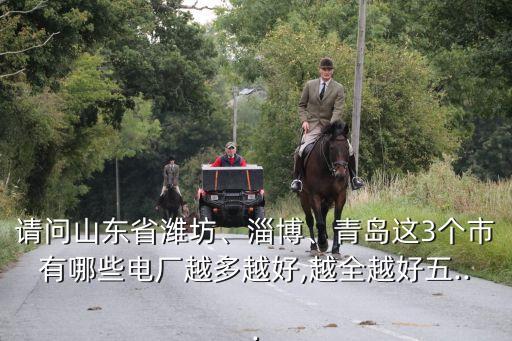 請(qǐng)問(wèn)山東省濰坊、淄博、青島這3個(gè)市有哪些電廠越多越好,越全越好五...