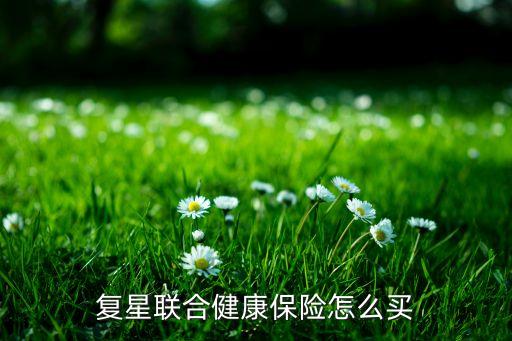 上海復興產(chǎn)業(yè)投資,復興城產(chǎn)業(yè)投資有限公司