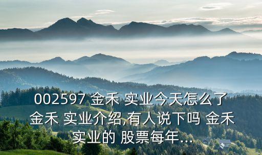 金禾實業(yè)股票k線圖