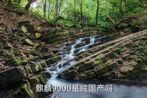  麒麟9000是純國(guó)產(chǎn)嗎