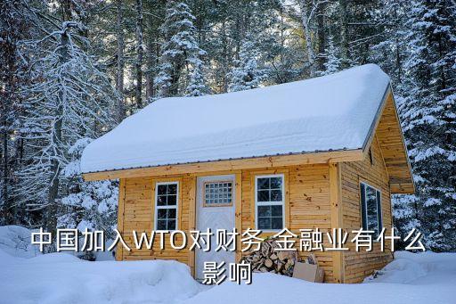中國加入WTO對財務 金融業(yè)有什么影響