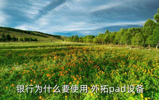  銀行為什么要使用 外拓pad設備