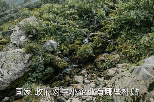 新疆政府產(chǎn)業(yè)引導基金,政府設(shè)立產(chǎn)業(yè)引導基金的流程