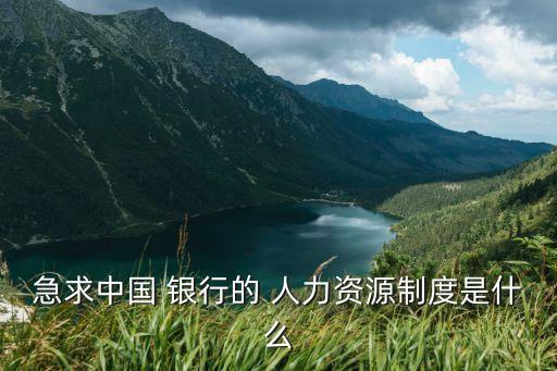 急求中國(guó) 銀行的 人力資源制度是什么