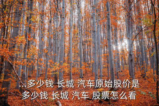 ...多少錢(qián) 長(zhǎng)城 汽車(chē)原始股價(jià)是多少錢(qián) 長(zhǎng)城 汽車(chē) 股票怎么看