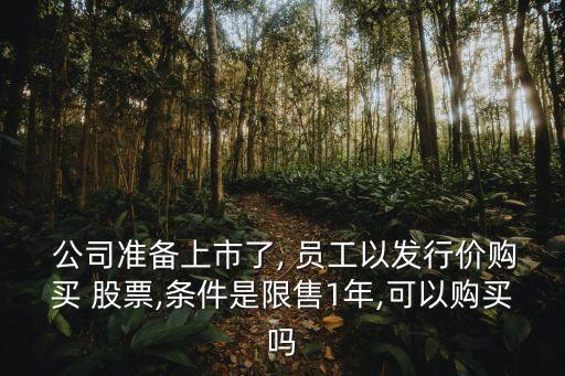  公司準(zhǔn)備上市了, 員工以發(fā)行價(jià)購(gòu)買(mǎi) 股票,條件是限售1年,可以購(gòu)買(mǎi)嗎