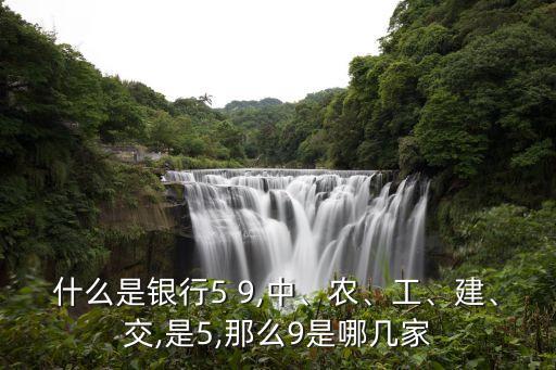什么是銀行5 9,中、農(nóng)、工、建、交,是5,那么9是哪幾家