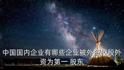 中國(guó)國(guó)內(nèi)企業(yè)有哪些企業(yè)被外資控股外資為第一 股東