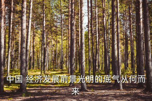 中國(guó) 經(jīng)濟(jì)發(fā)展前景光明的底氣從何而來