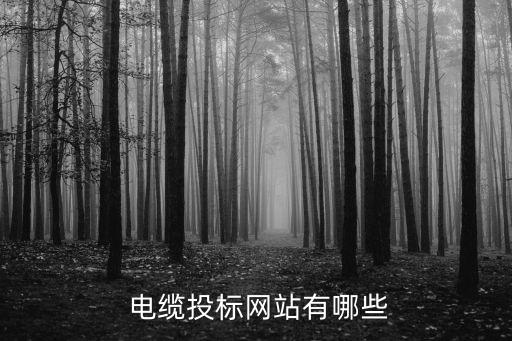  電纜投標網(wǎng)站有哪些