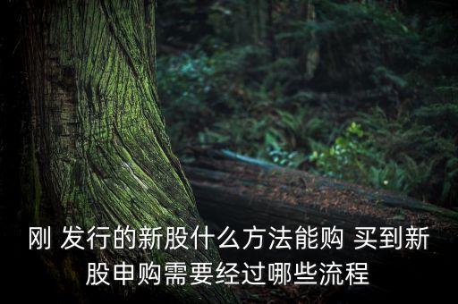 剛 發(fā)行的新股什么方法能購(gòu) 買到新股申購(gòu)需要經(jīng)過哪些流程
