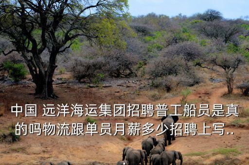 2015中國(guó)遠(yuǎn)洋有風(fēng)險(xiǎn)嗎