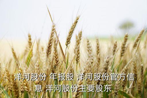 2012年洋河集團(tuán)年報,洋河股份2022年年報