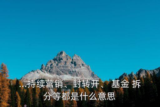 ...持續(xù)營(yíng)銷、封轉(zhuǎn)開、 基金 拆分等都是什么意思