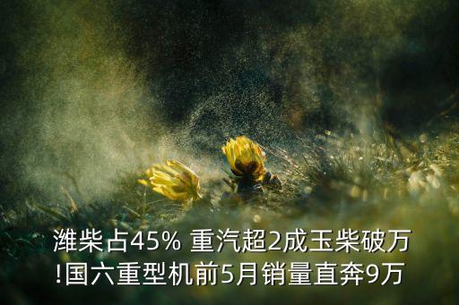  濰柴占45% 重汽超2成玉柴破萬!國(guó)六重型機(jī)前5月銷量直奔9萬